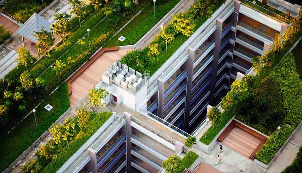 terrace garden, mumbai, bmc, brihanmumbai municipal corporation, bmc budget
