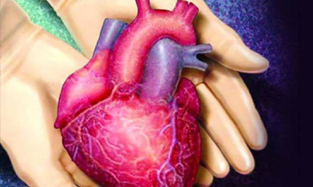 Maharashtra Organ Donation