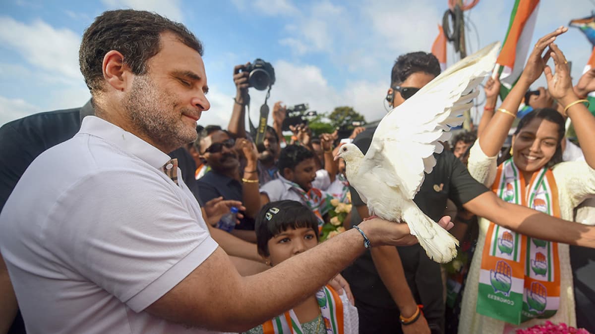 rahul gandhi bharat jodo yatra