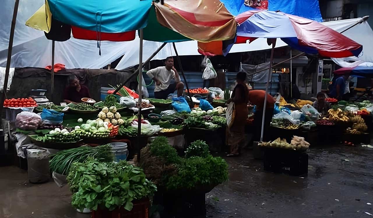 vegetable, monsoon, monsoon miseries, miseries, farmers, maharashtra, vasai, sabji, bhaji
