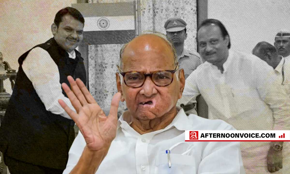 pawar, ajit pawar, devendra fadnavis, bjp, elections, sharad pawar, ncp