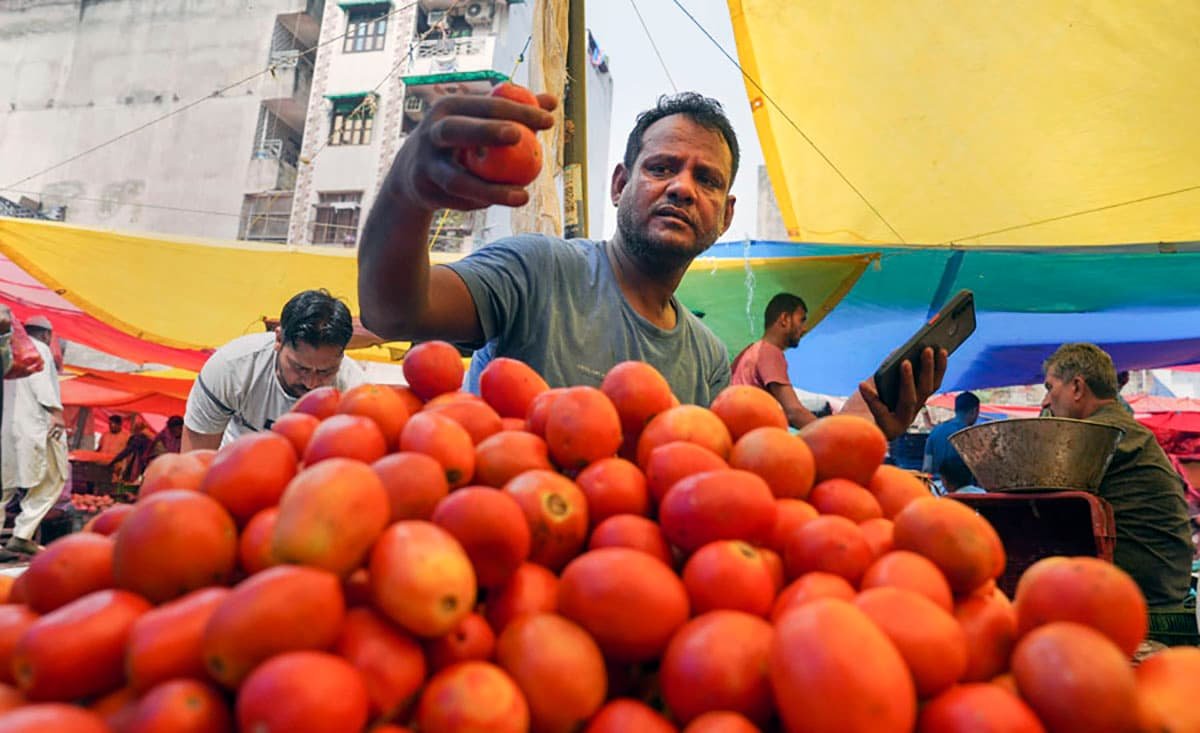 tomato seller, tomato, inflation, price rise, vegetable vendor, farmers, tomatoes, price hike