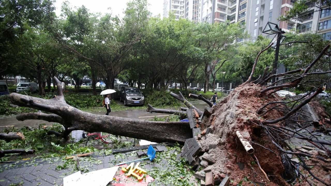 Typhoon Saola, Hong Kong, Saola, Typhoon