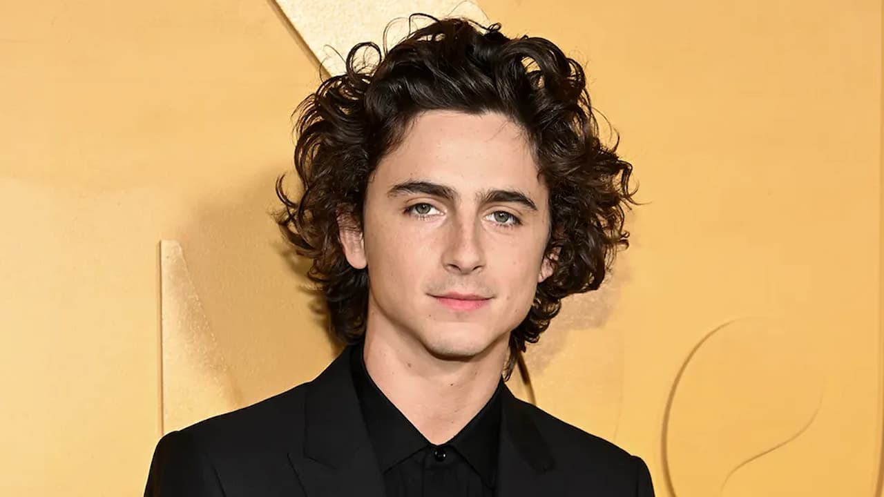 timothee chalamet, wonka, timothee