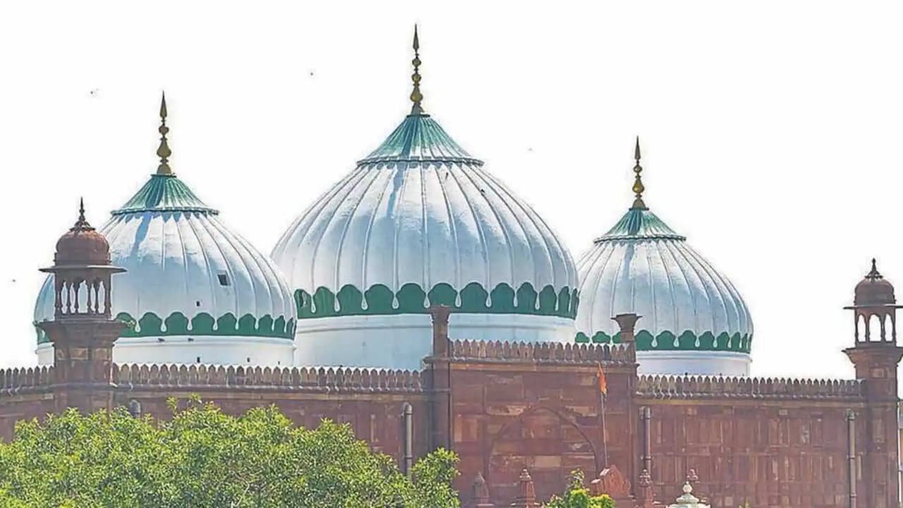 shahi idgah, mosque, allahabad high court, allahabad hc, supreme court, sc