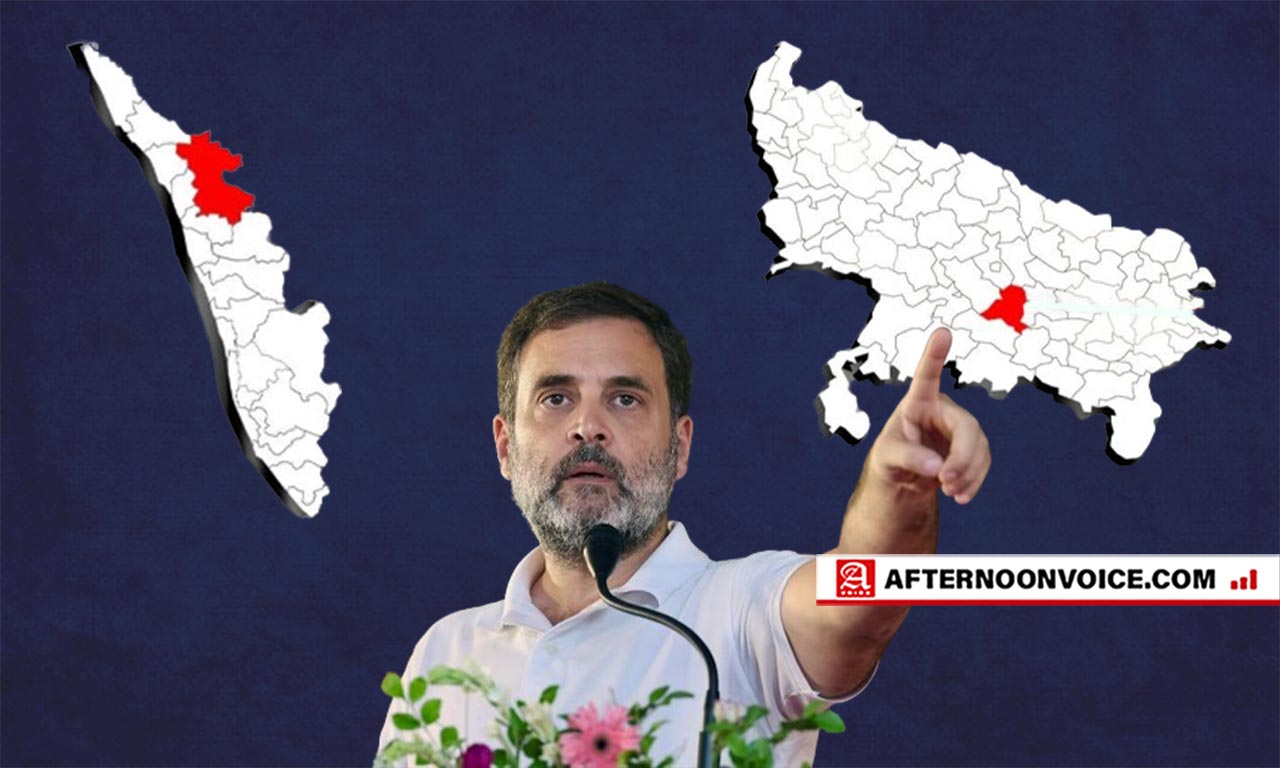 raebareli, lok sabha, wayanad, lok sabha constituency, congress, gandhi