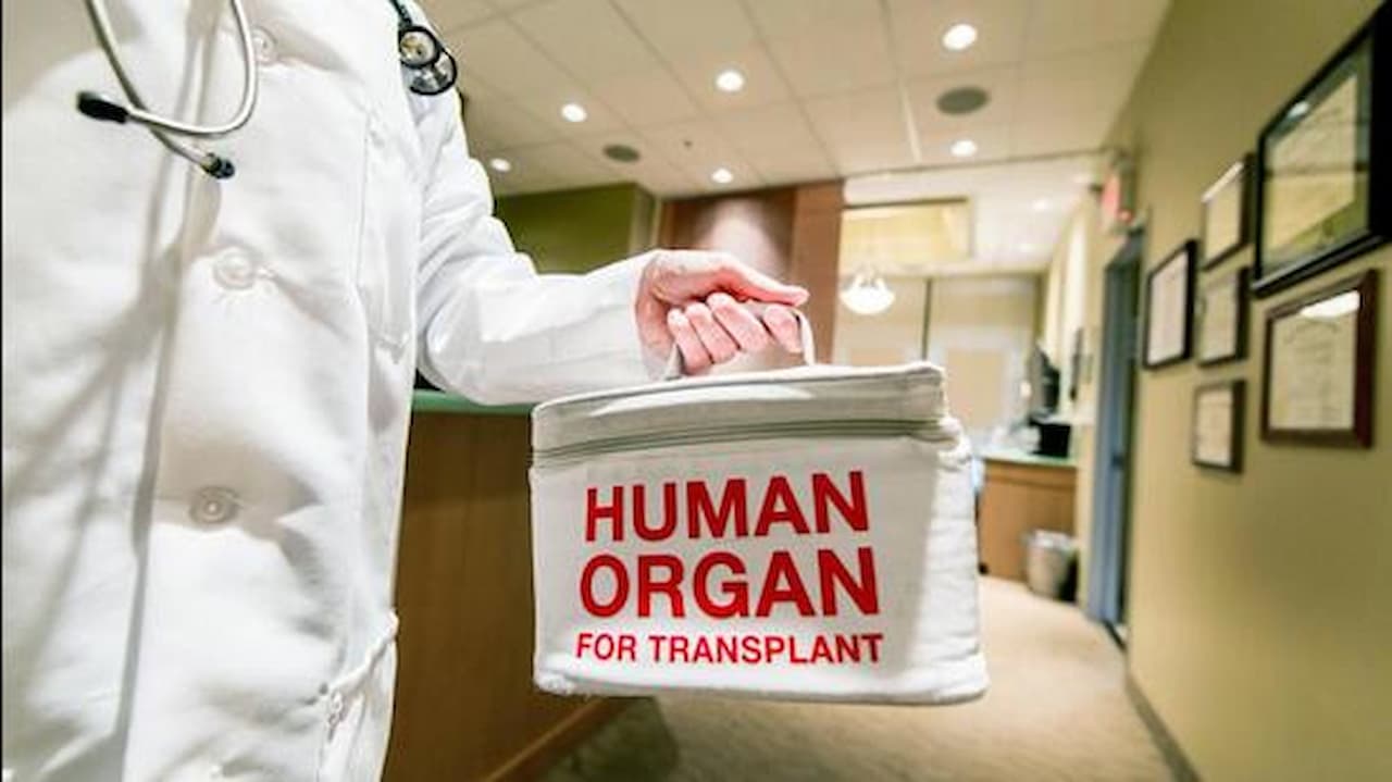 racket, organ transplant, organ, delhi police, delhi