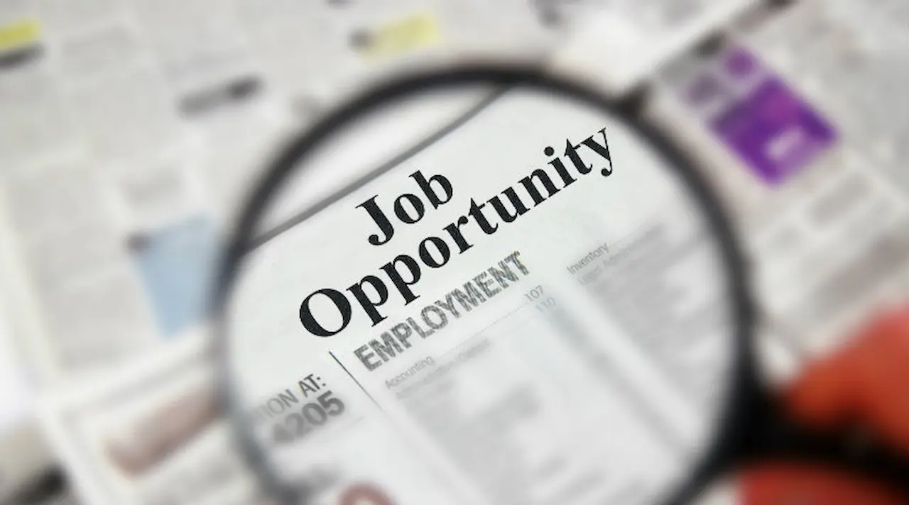 job opportunity, job growth, employment grows, growth