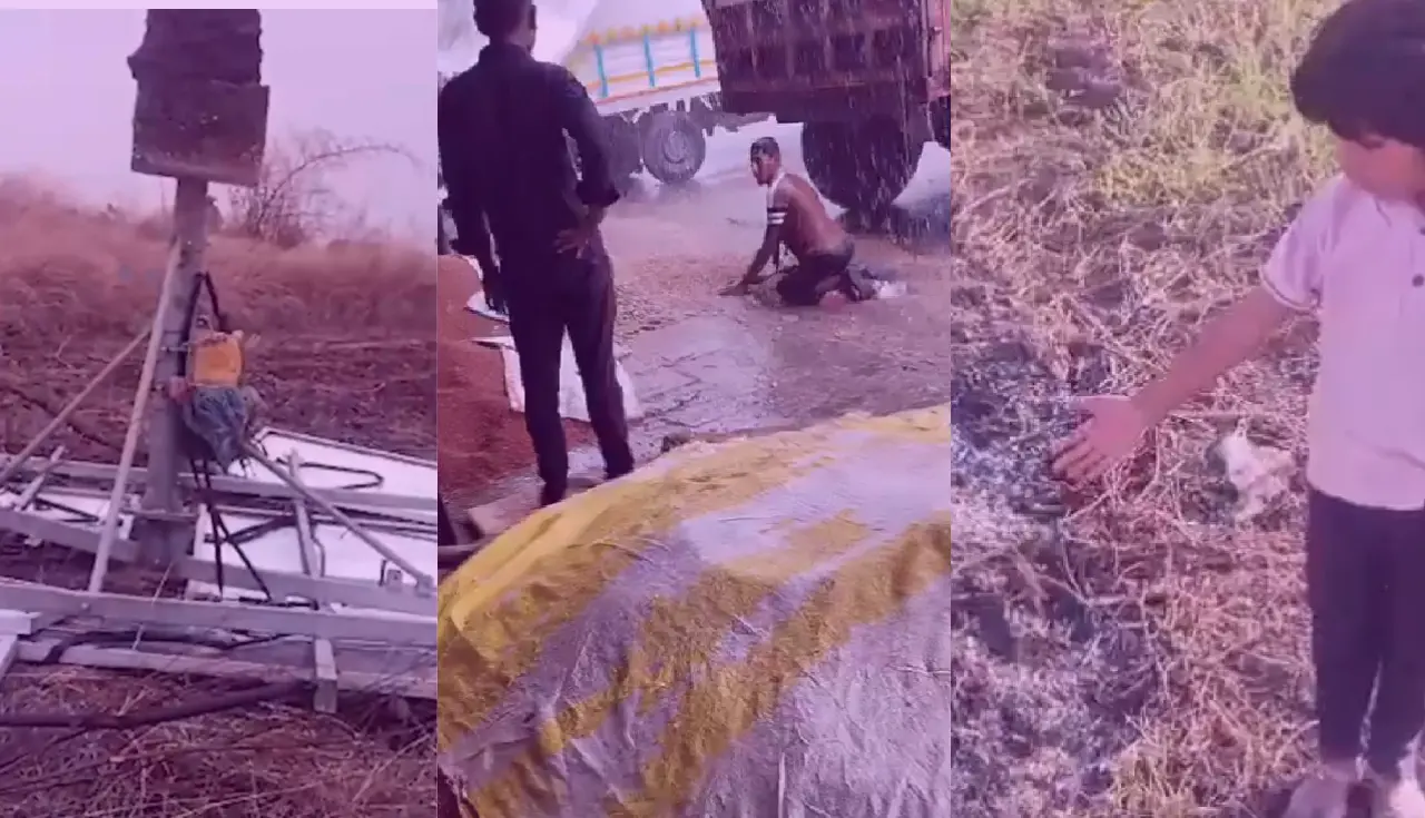 farmers struggle, maharashtra, washim, nanded, monsoon, rain, farmer