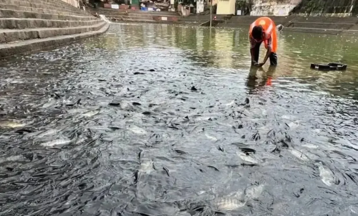 banganga tank, banganga, mumbai, pitru paksh