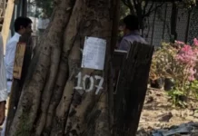 bmc, tree, census, mumbai, brihanmumbai municipal corporation