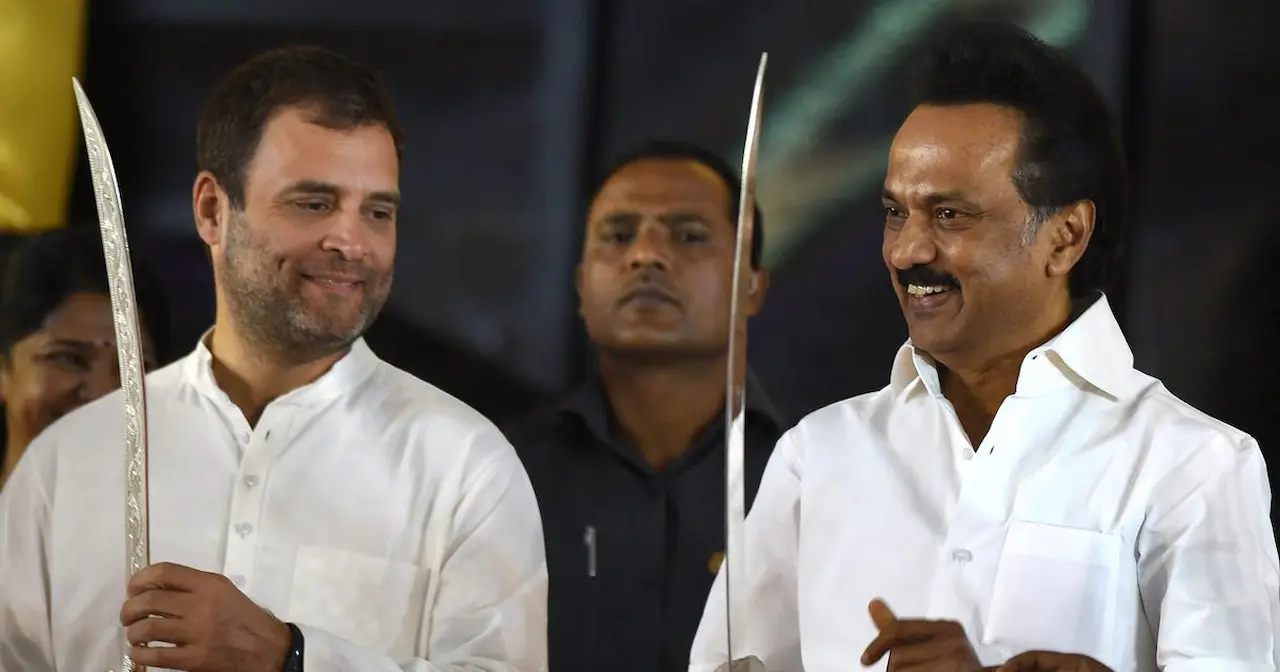 dmk, stalin, rahul gandhi, tvk, rahul gandhi, mk stalin