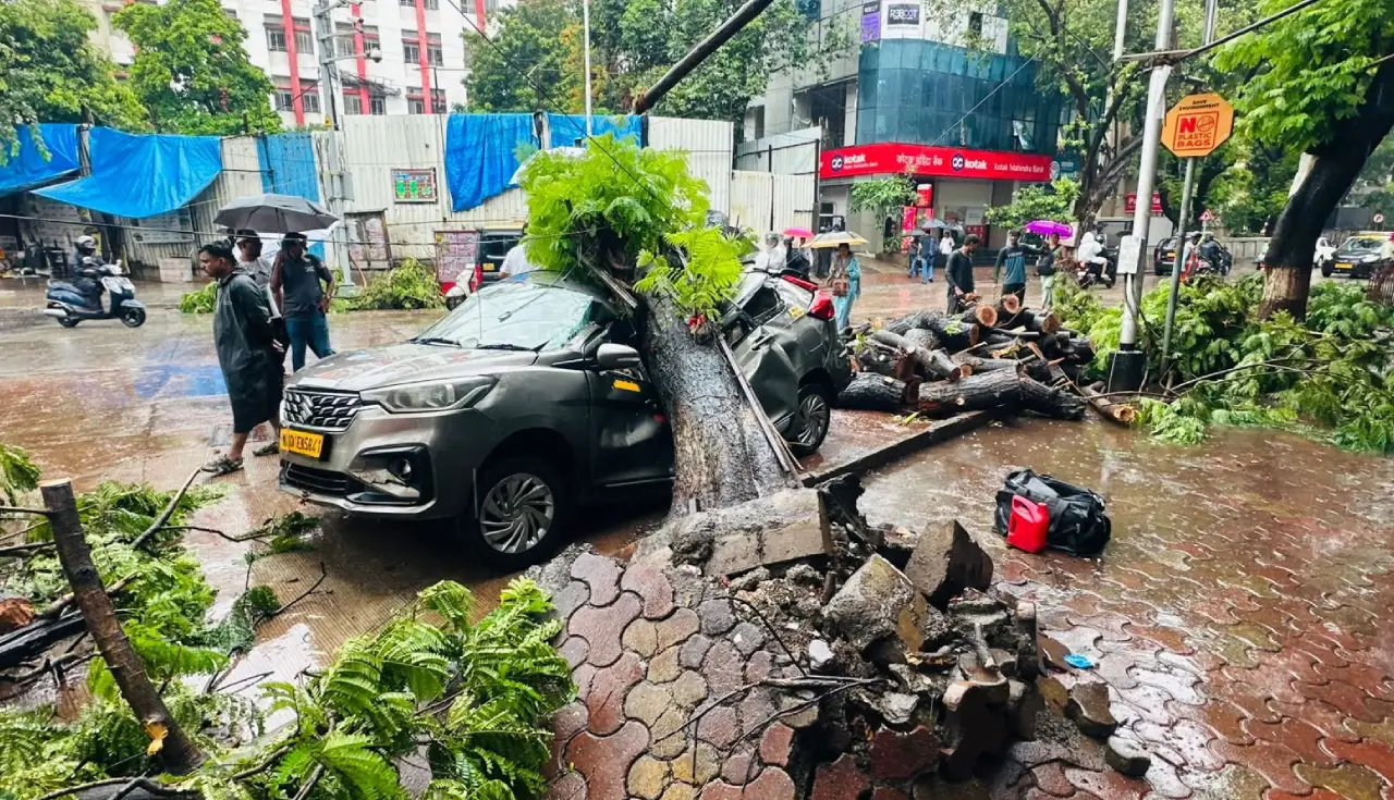 Mumbai Drenched By Over 300 Mm Rain In 24 Hours; Imd Issues Orange Alert As Flooding Disrupts City 1 heavy rainfall, mumbai, rains, mumbai rains, bmc