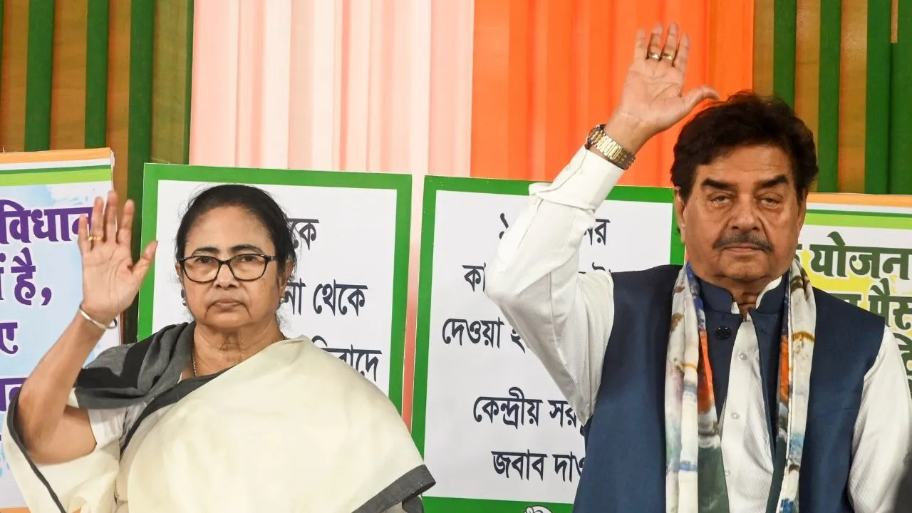 mamata, mamata banerjee, tmc, trinamool congress, shatrughan sinha