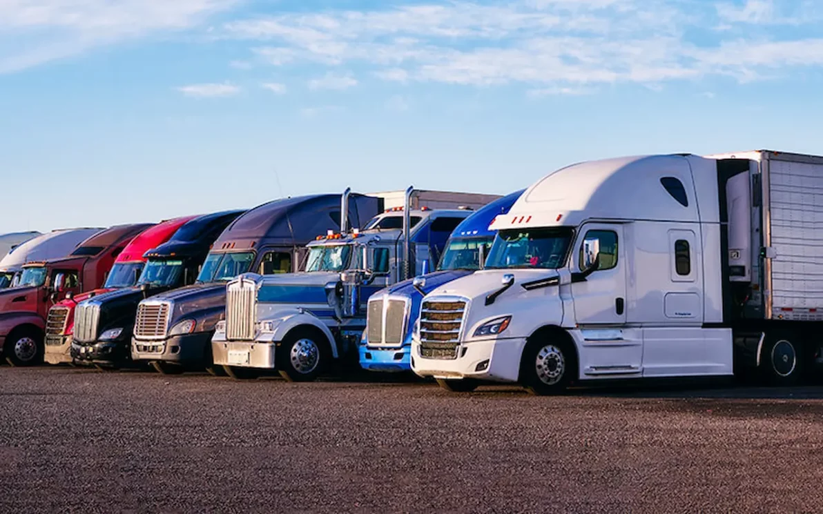 Operation Checkmate: 30 Indian Truck Drivers Arrested In Us Over Illegal Stay, Face Deportation 1 truck drivers, us, operation checkmate, indian truck drivers, illegal drivers, usa