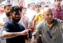 abhijeet dipke, cjp, cockroach janta party, ink thrown, jantar mantar, delhi